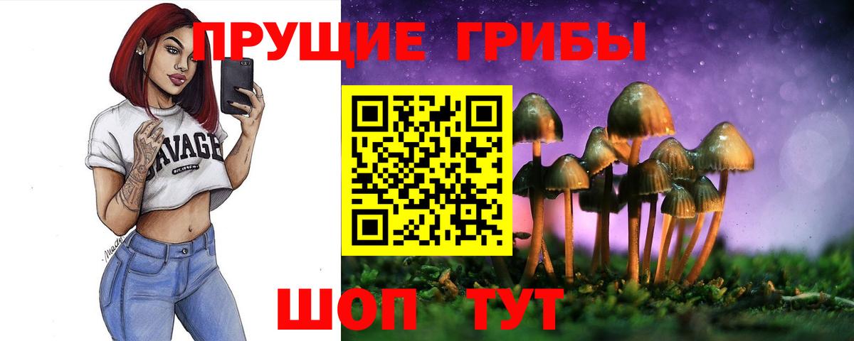 Саранск  Псилоцибиновые грибы ЛСД  Вход с VPN 