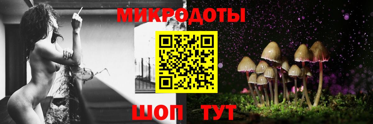 Галлюциногенные грибы Cubensis Саранск